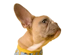 Наші переваги