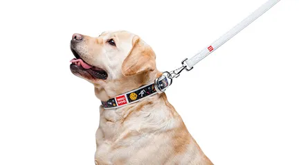 Рік та Морті